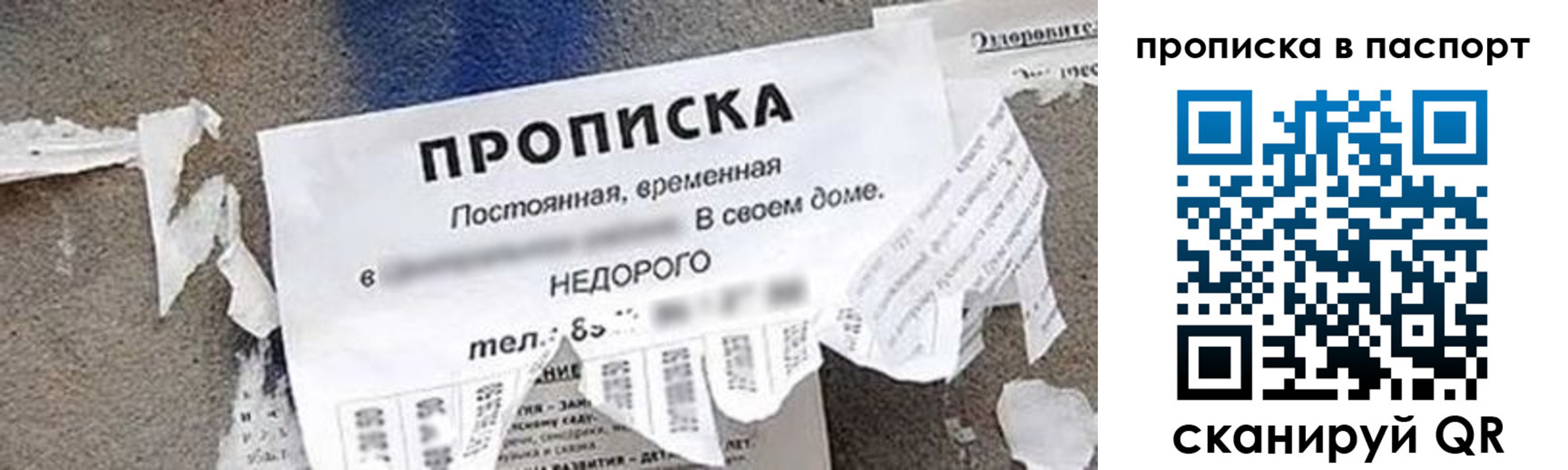 где прописаться в Мурино